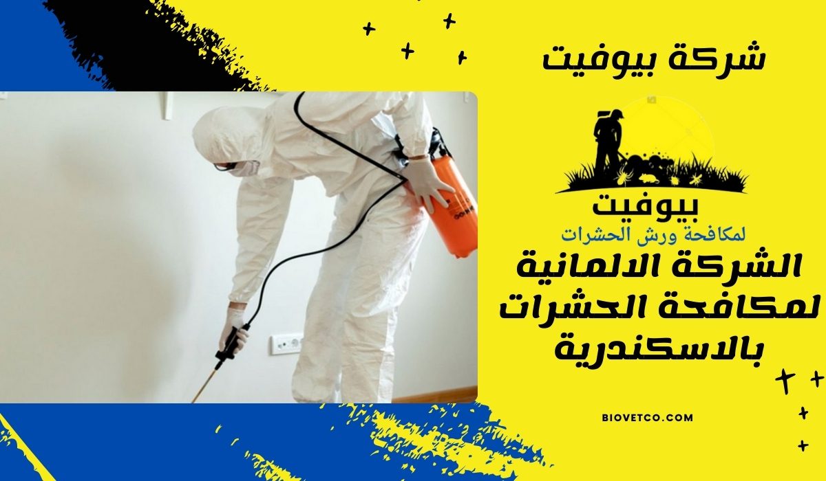 الشركة الالمانية لمكافحة الحشرات بالاسكندرية 01033160250
