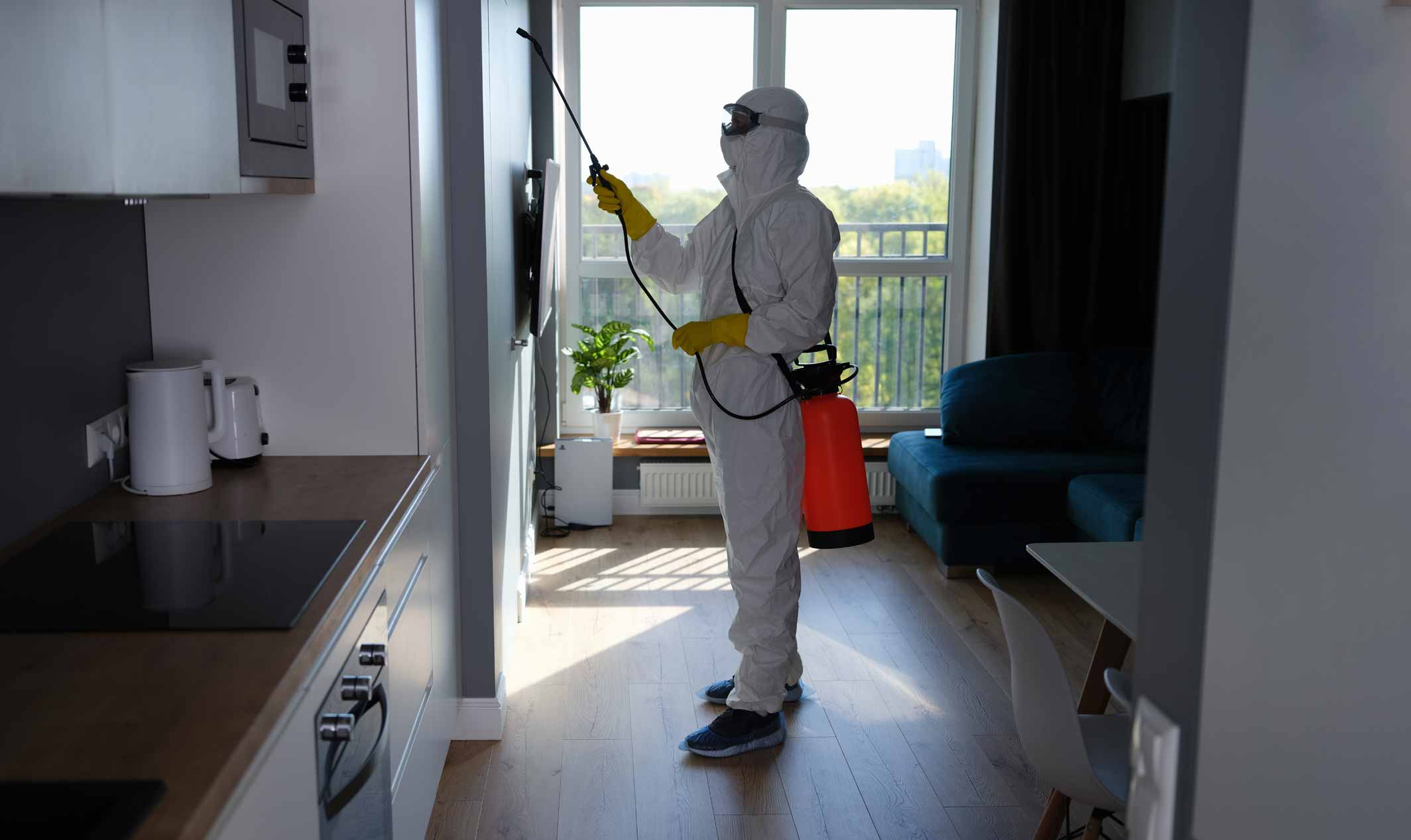 عامل رش مبيدات داخل شقة