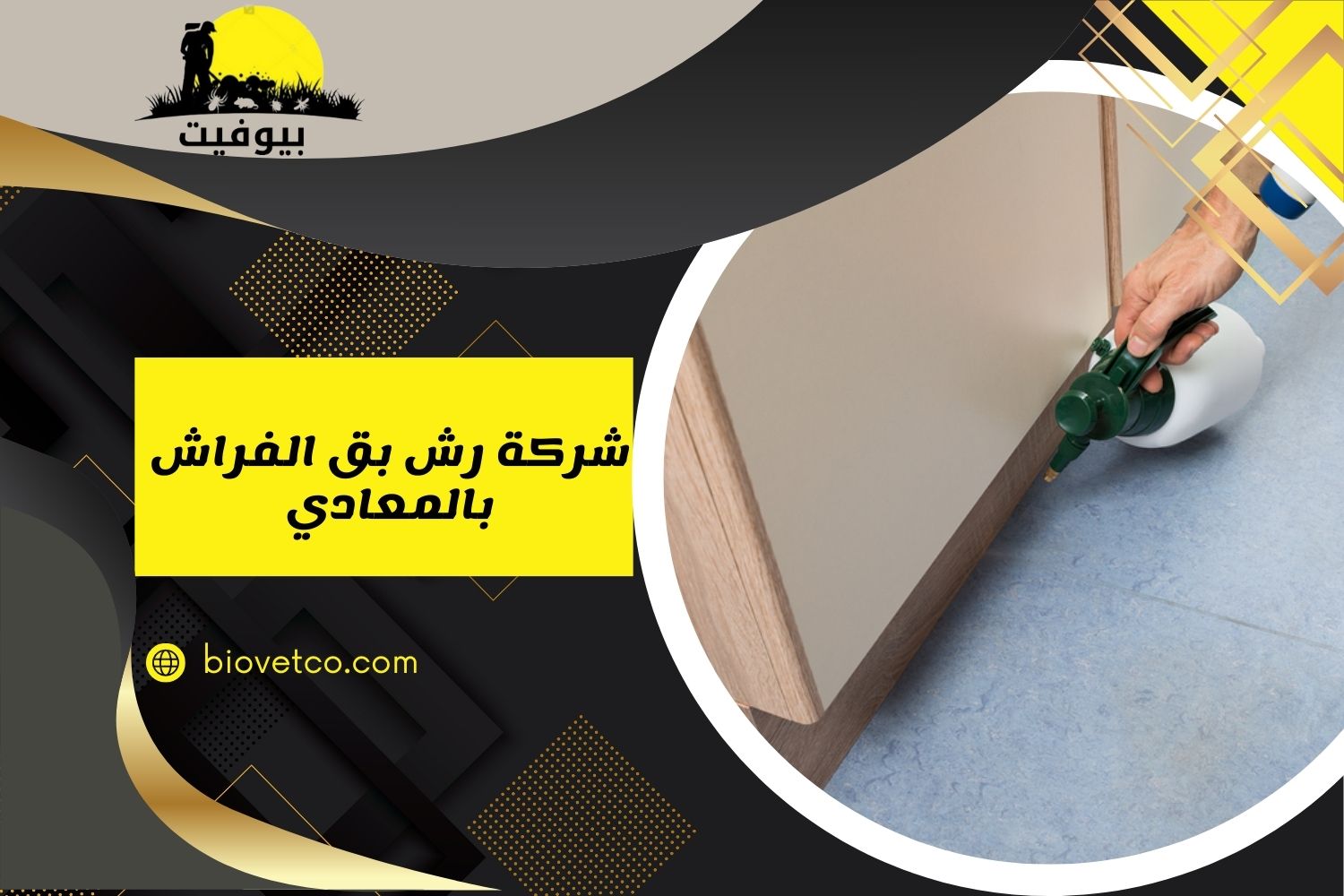شركة رش بق الفراش بالمعادي 01033160250