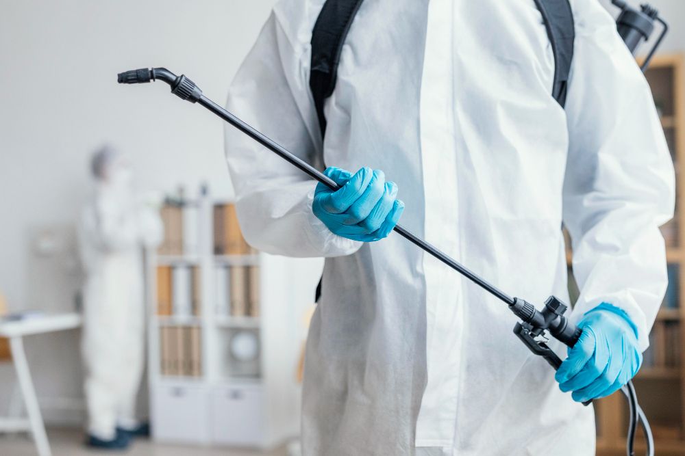 خدمات شركة مكافحة سوس الخشب بالاسكندرية بالتفصيل