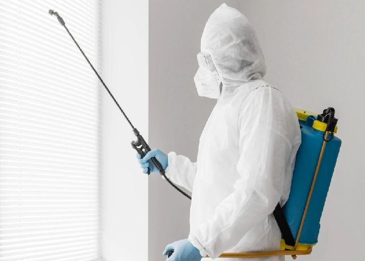 خطوات شركة مكافحة النمل الأبيض بقطر في تنفيذ الخدمة