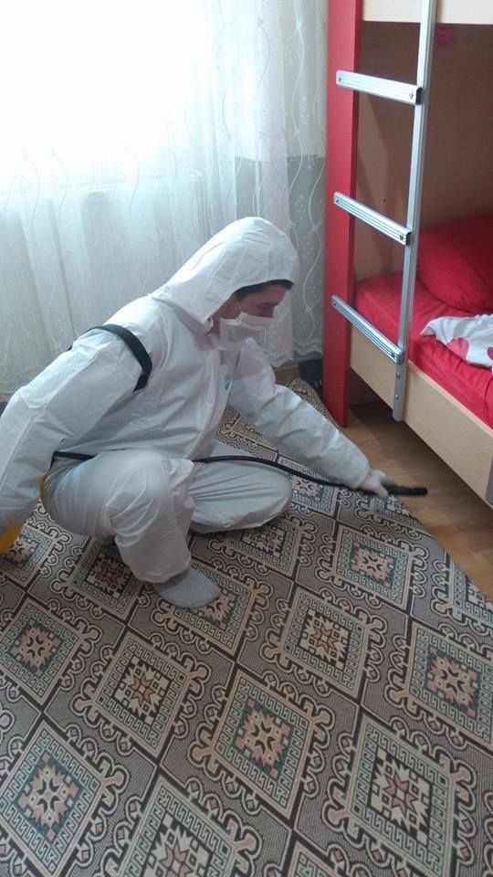 رش بق الفراش في 6 أكتوبر