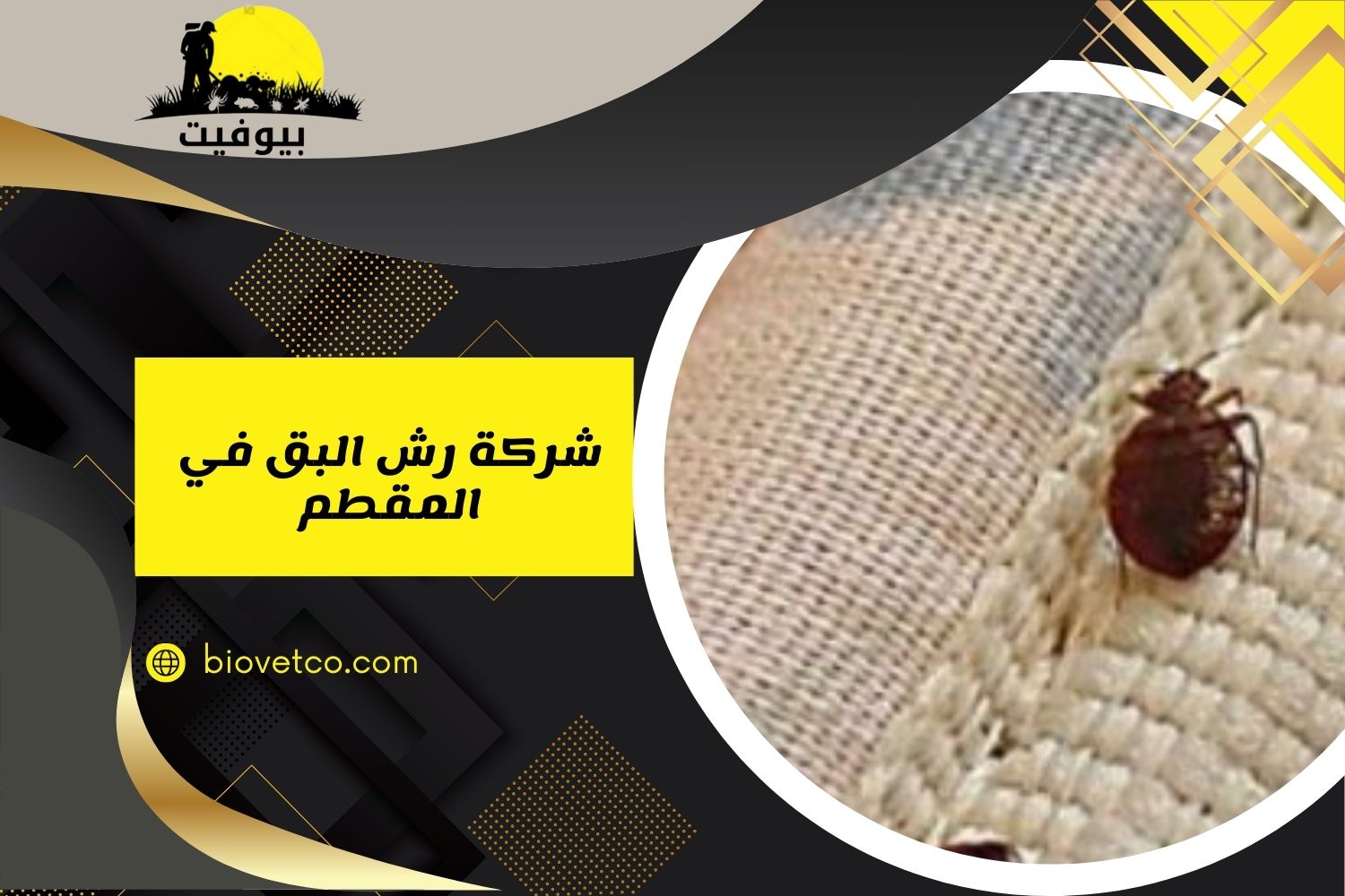 شركة رش البق في المقطم 01033160250