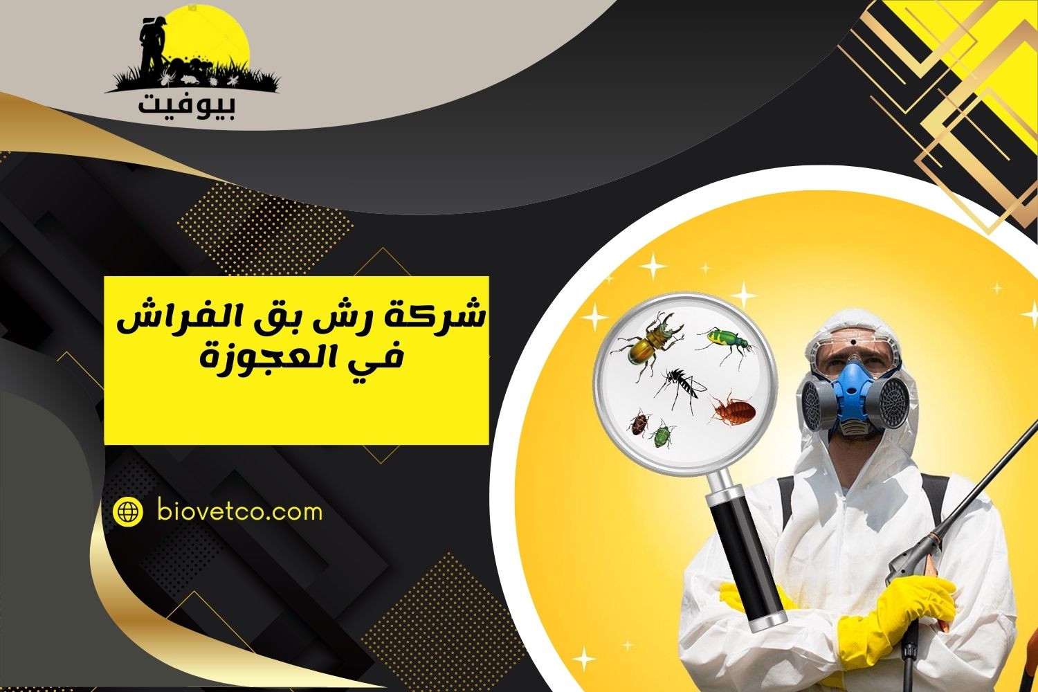 شركة رش بق الفراش في العجوزة 01033160250