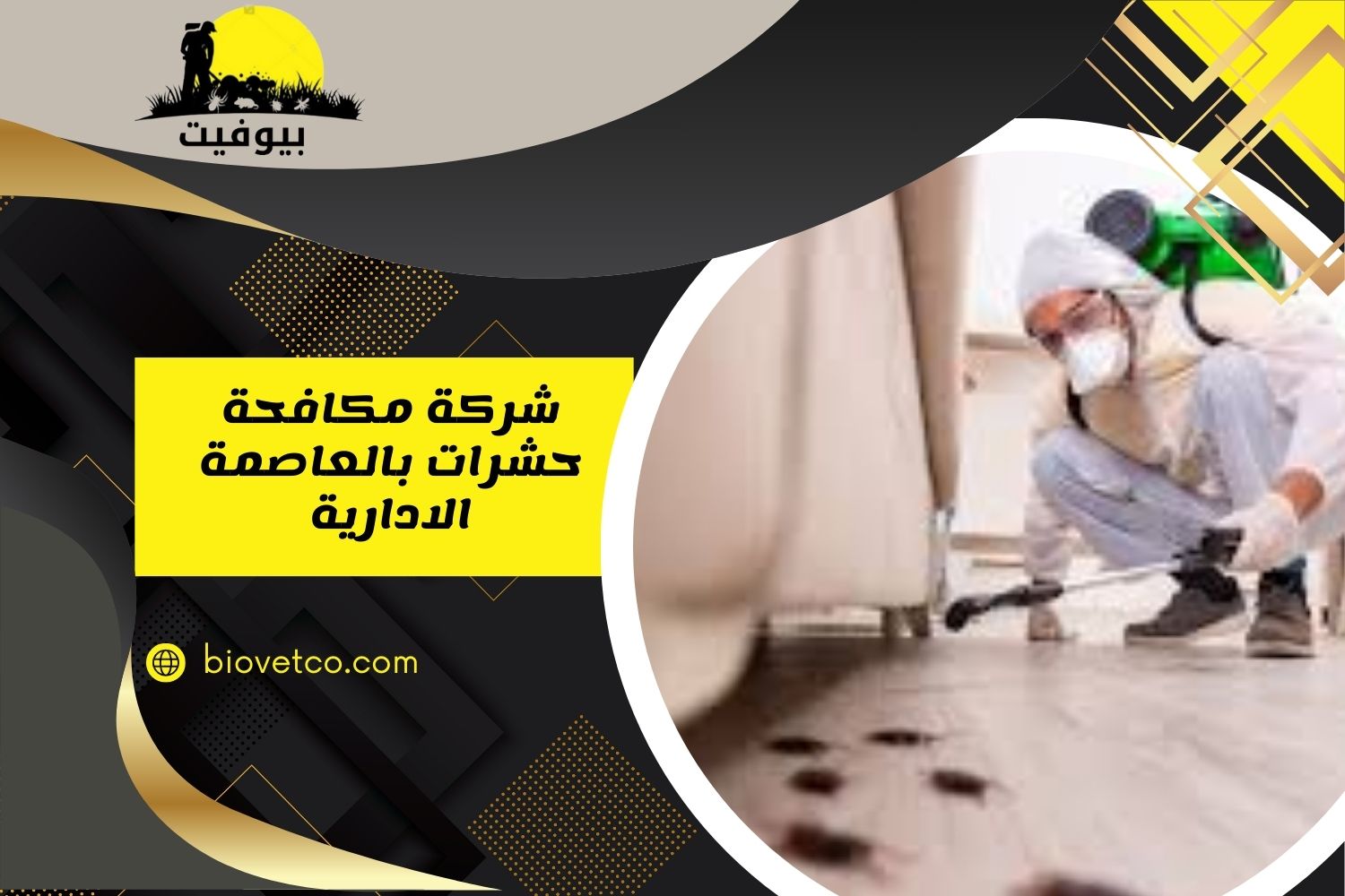 شركة مكافحة حشرات بالعاصمة الادارية 01033160250