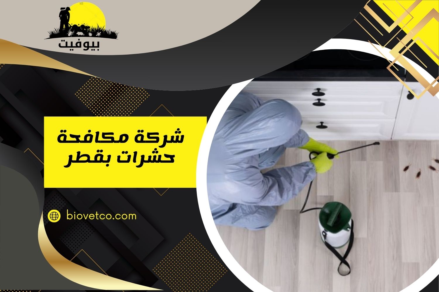 شركة مكافحة حشرات بقطر