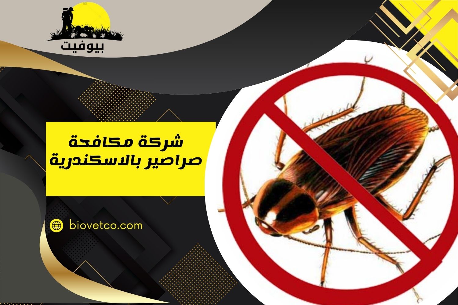 ارخص شركة مكافحة صراصير بالاسكندرية 01033160250