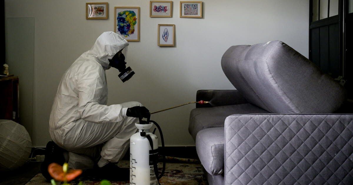 مميزات شركة رش بق الفراش بمدينة 6 أكتوبر