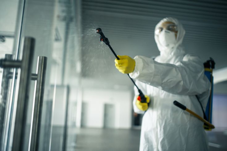 أفضل شركة مكافحة حشرات بالمنيل – لماذا نحن؟