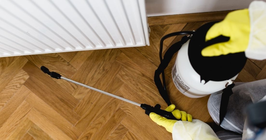 الشركة الألمانية لمكافحة الحشرات بالساحل الشمالي