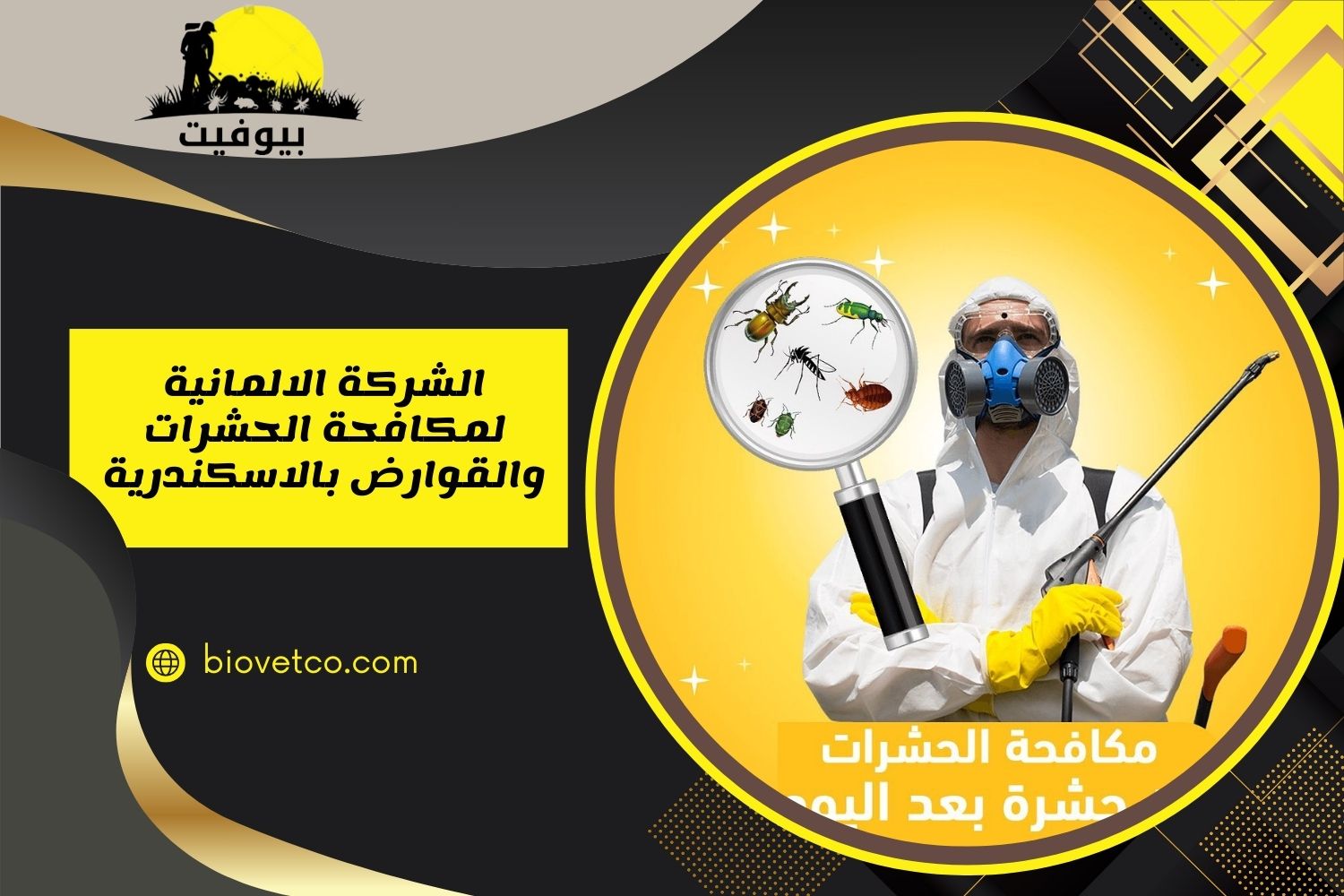 الشركة الالمانية لمكافحة الحشرات والقوارض بالاسكندرية 01033160250