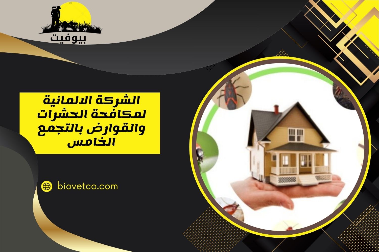 الشركة الالمانية لمكافحة الحشرات والقوارض بالتجمع الخامس