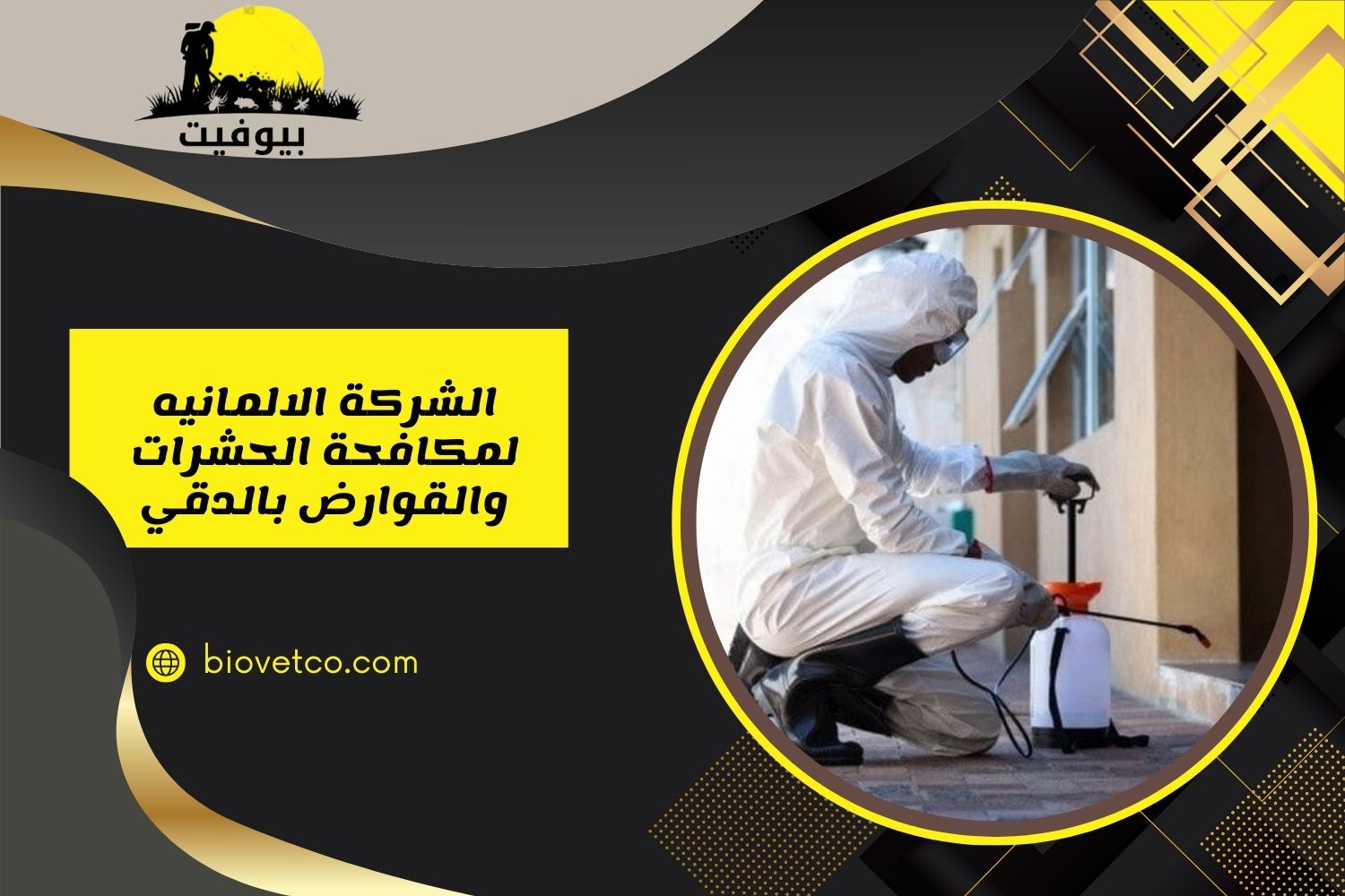 الشركة الالمانيه لمكافحة الحشرات والقوارض بالدقي 01033160250