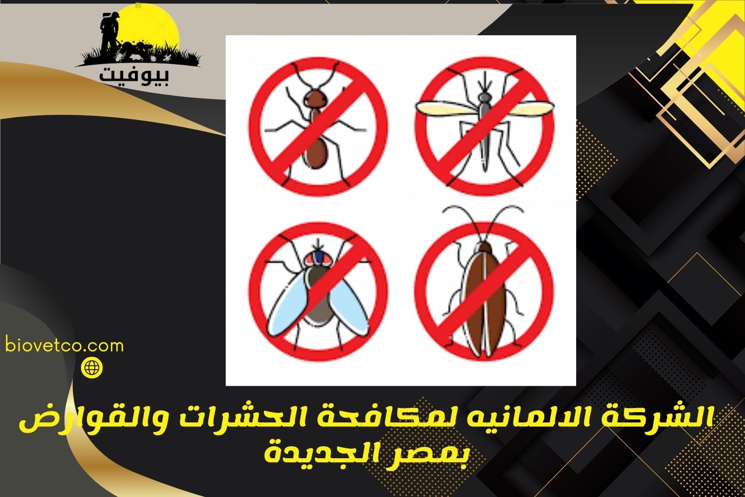 الشركة الالمانيه لمكافحة الحشرات والقوارض بمصر الجديدة2