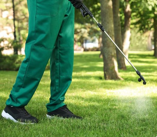 شركة رش مبيدات بالمنيل باستخدام تقنيات ألمانية