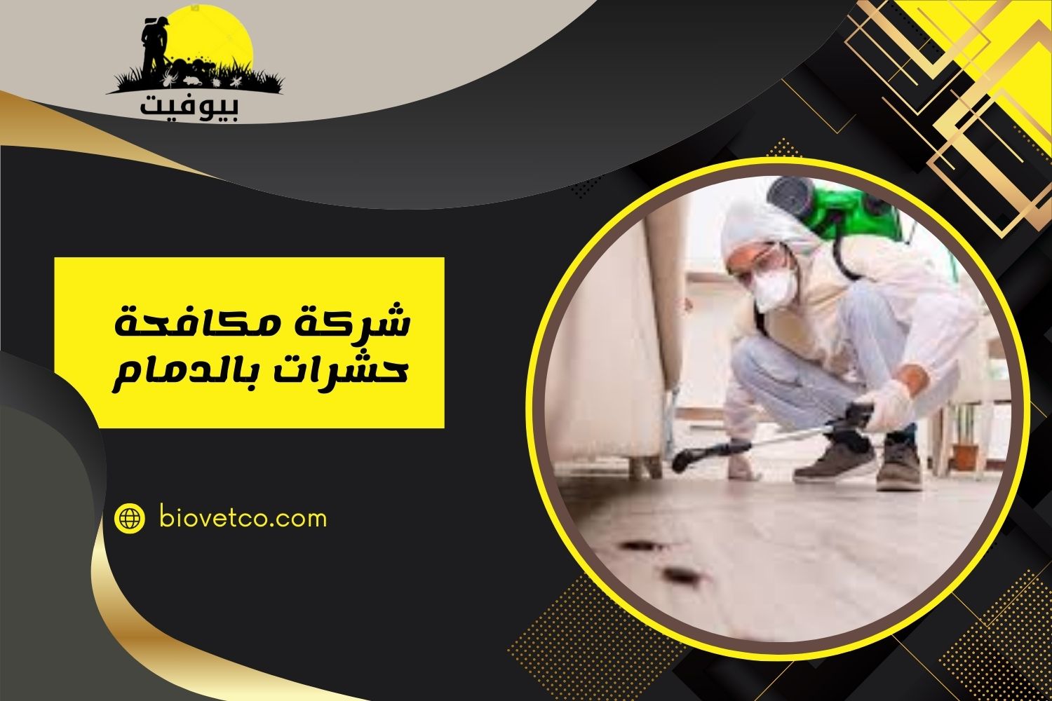 شركة مكافحة حشرات بالدمام