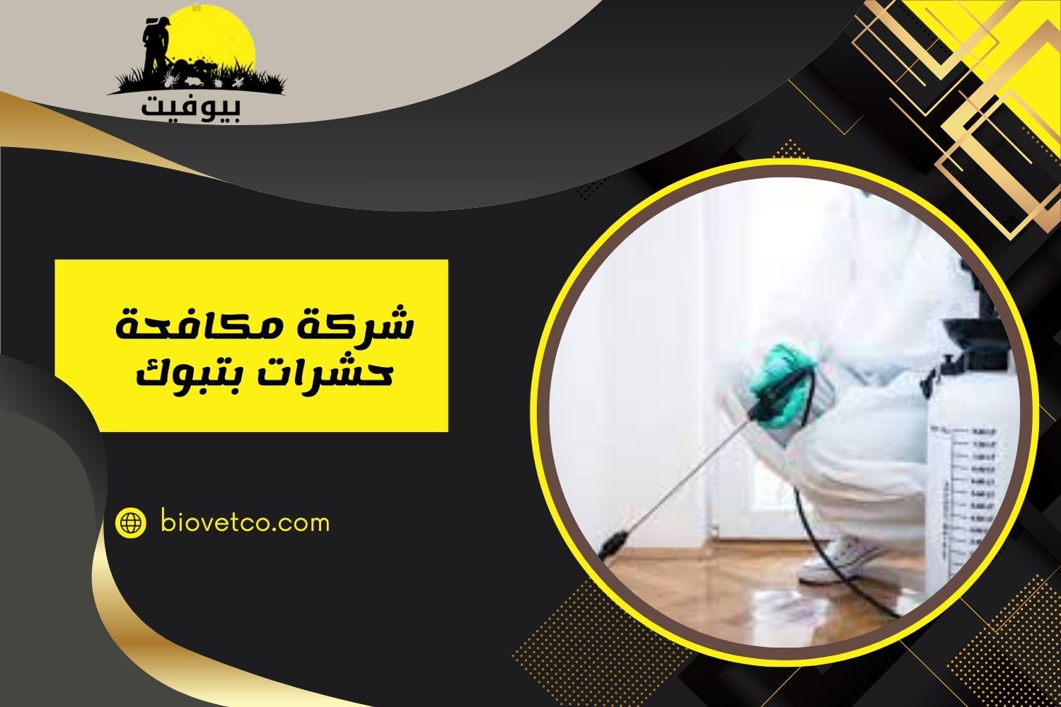 شركة مكافحة حشرات بتبوك