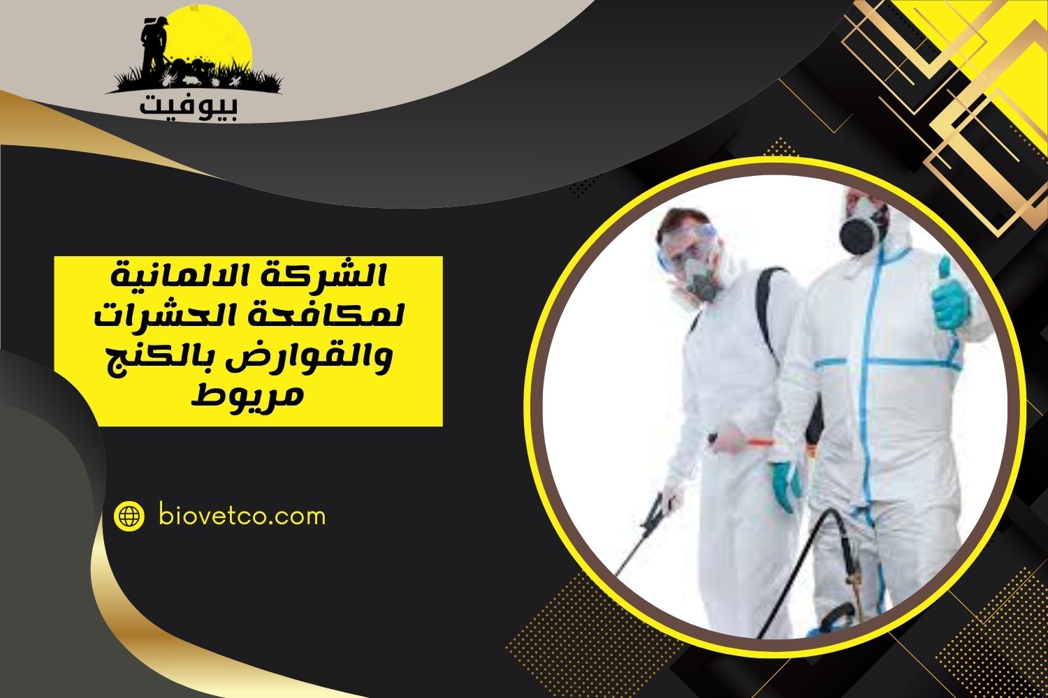 الشركة الالمانية لمكافحة الحشرات والقوارض بالكنج مريوط 01033160250