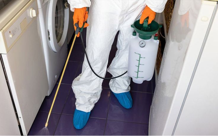 طريقة عمل الشركة الالمانية لمكافحة الحشرات والقوارض بالكنج مريوط