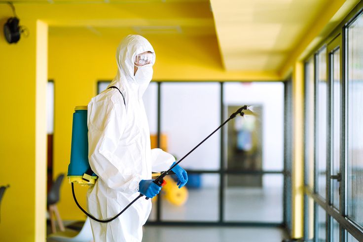 مبيدات الشركة الالمانية لمكافحة الحشرات بالكنج مريوط – هل هي آمنة؟