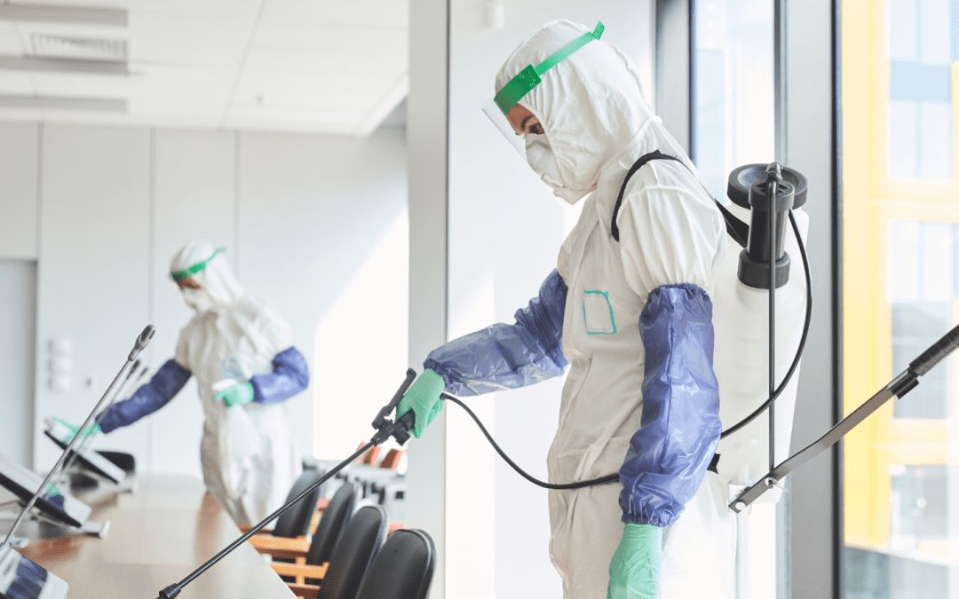 مكافحة الحشرات والقوارض بالقاهرة للمنازل والشركات