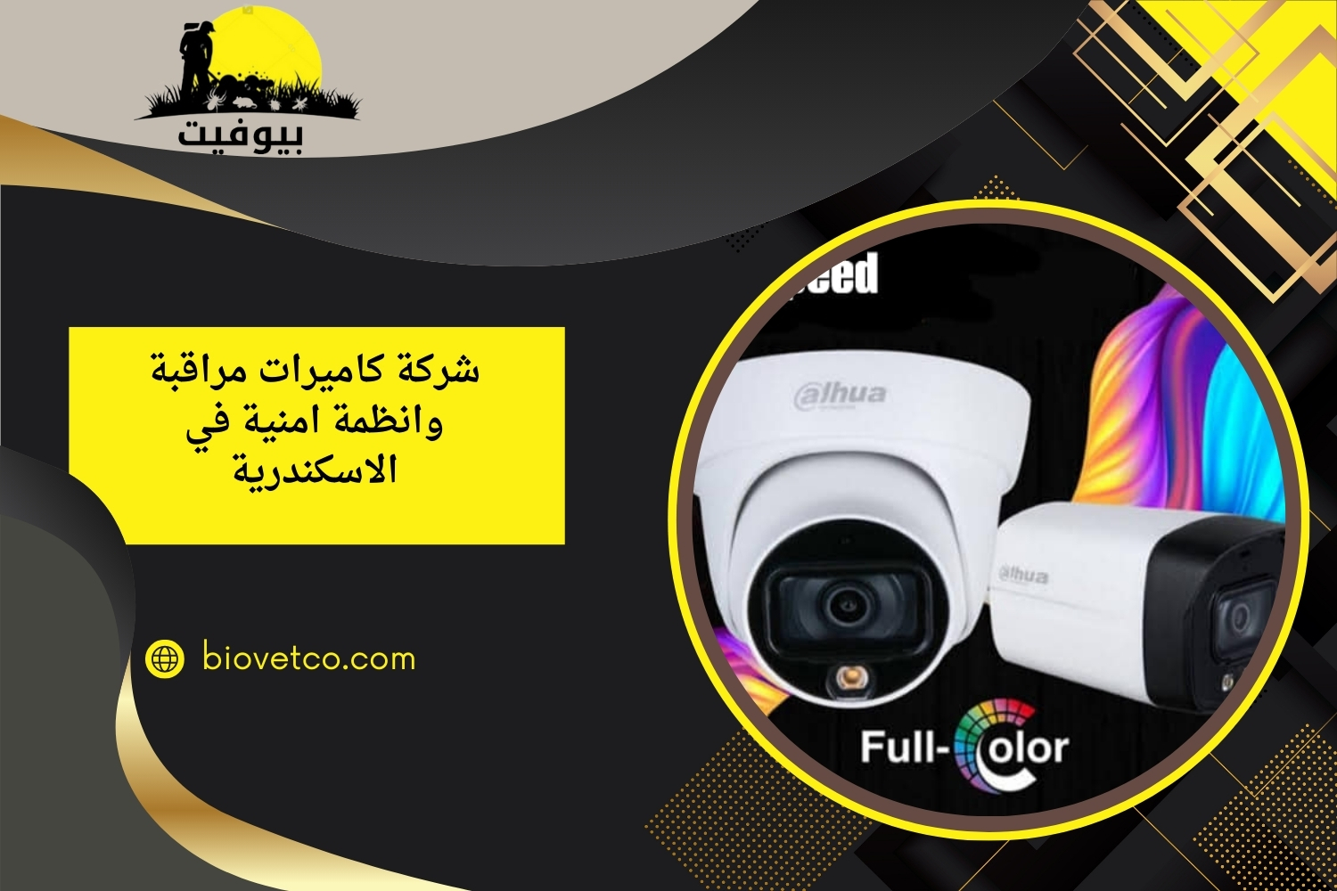 شركة كاميرات مراقبة وانظمة امنية في الاسكندرية 01033320409-01279330444