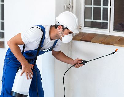 مكافحة الحشرات بجدة