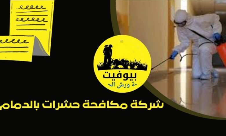 شركة مكافحة حشرات بالدمام