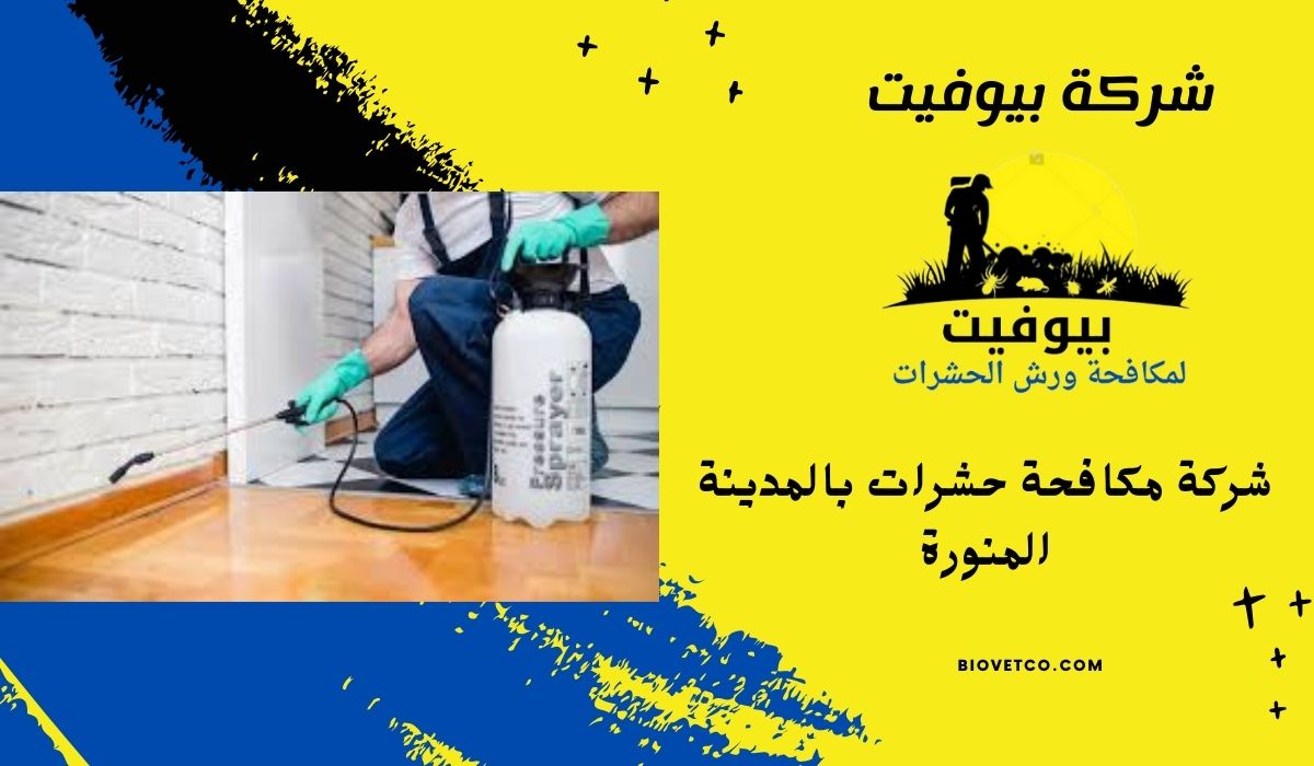 شركة مكافحة حشرات بالمدينة المنورة