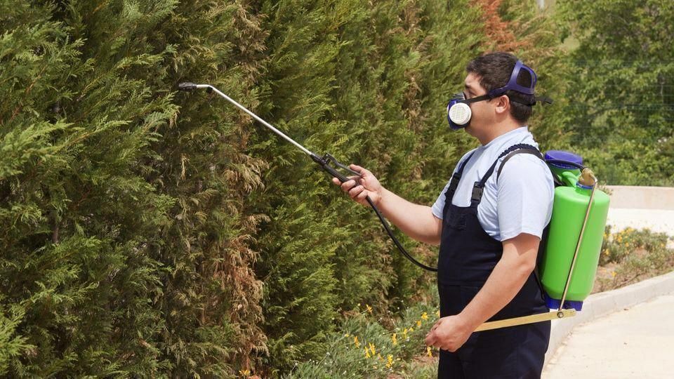 رش مبيدات برماح