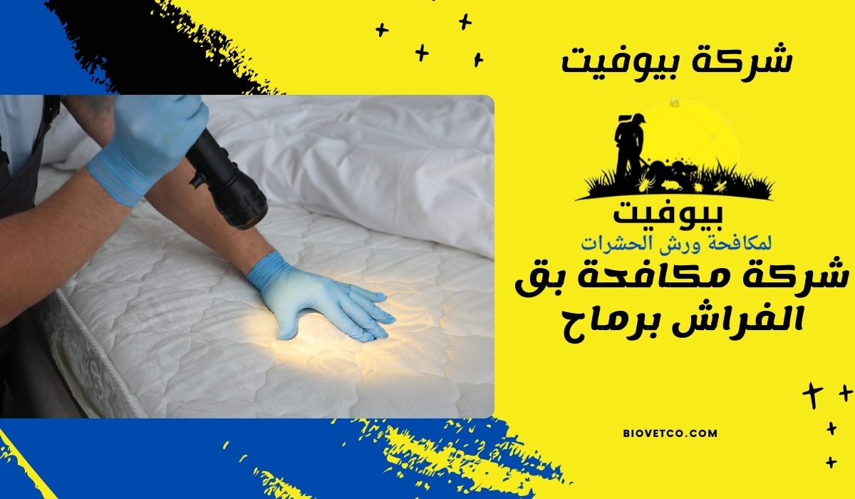 شركة مكافحة بق الفراش برماح