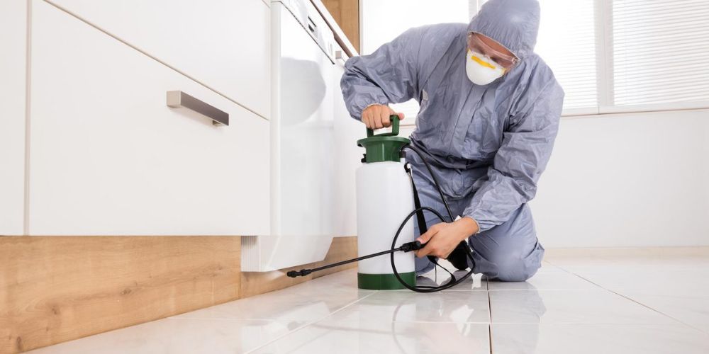 شركة مكافحة صراصير برماح