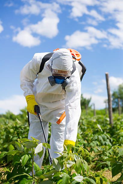 خطوات العمل في شركة رش مبيدات بالقصيم