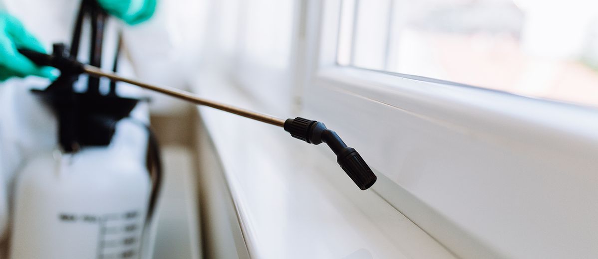 أفضل مبيدات القضاء على الصراصير فى الزمالك