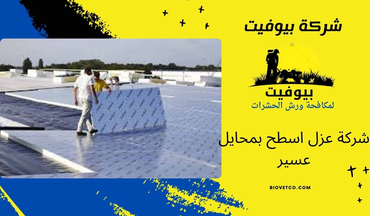 شركة عزل اسطح بمحايل عسير