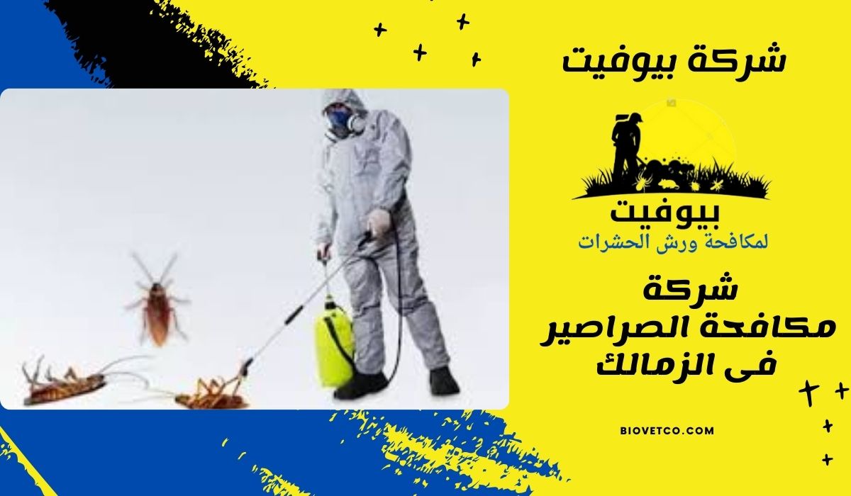 شركة مكافحة الصراصير فى الزمالك