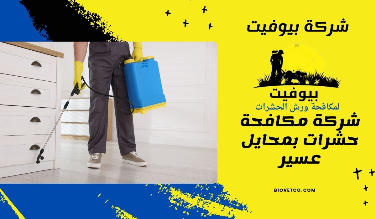 شركة مكافحة حشرات بمحايل عسير