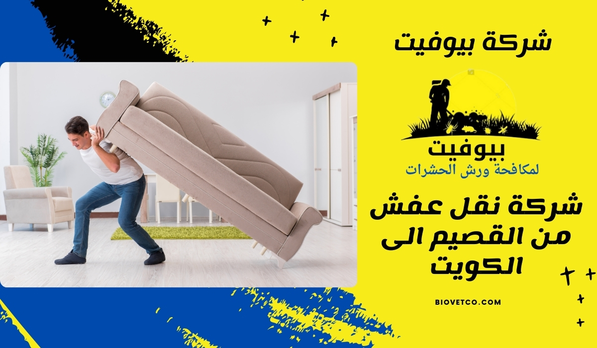 شركة نقل عفش من القصيم الى الكويت