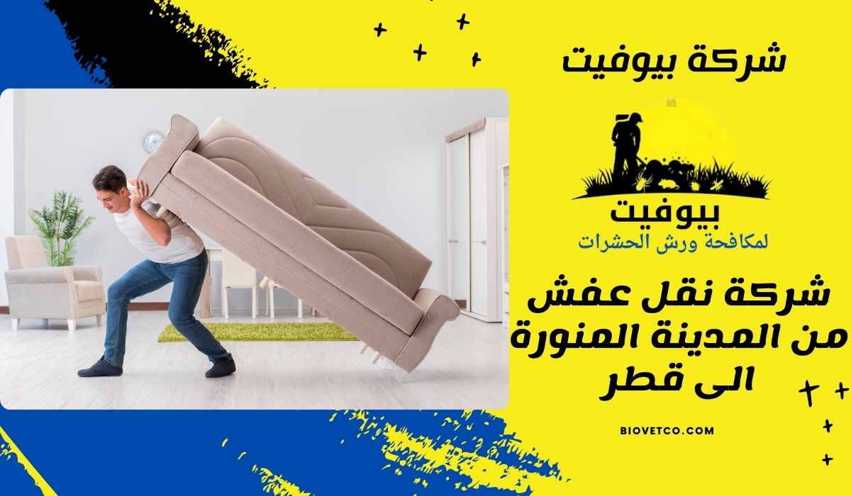 شركة نقل عفش من المدينة المنورة الى قطر