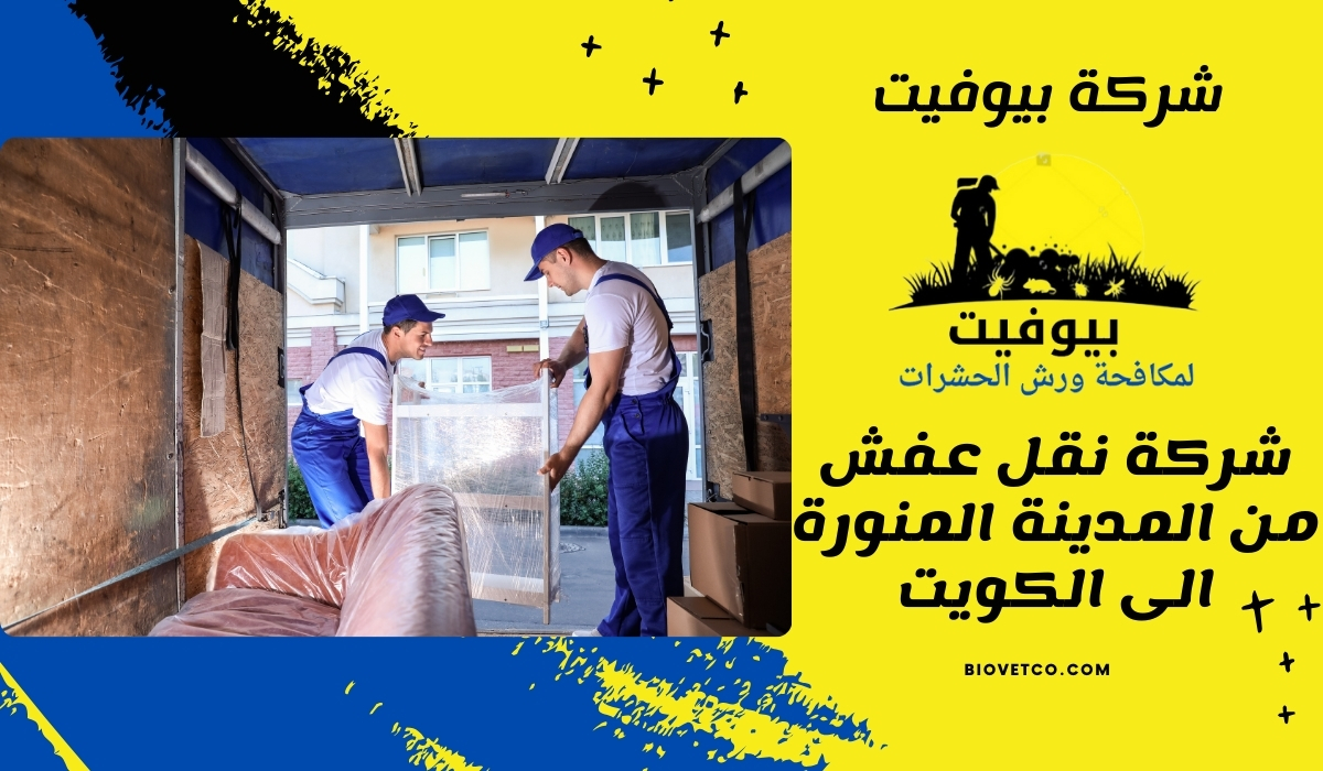 شركة نقل عفش من المدينة المنورة الى الكويت