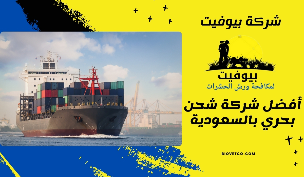 أفضل شركة شحن بحري بالسعودية