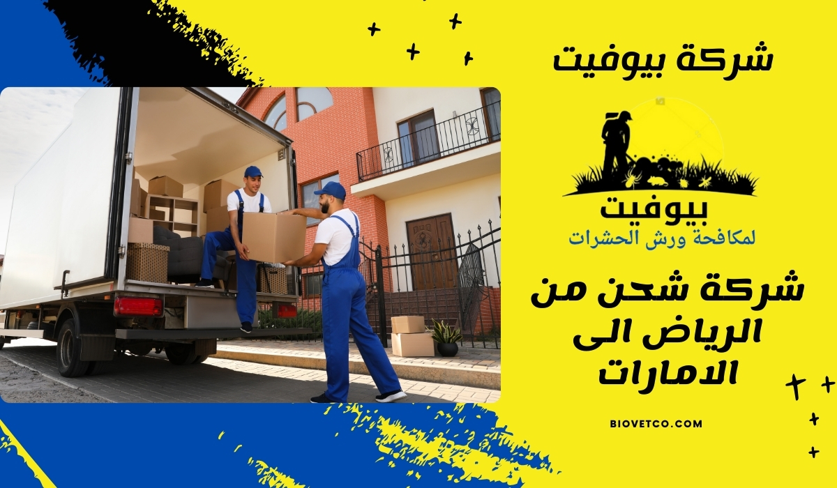 شركة شحن من الرياض الى الامارات