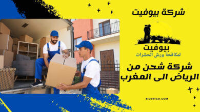 شركة شحن من الرياض الى المغرب