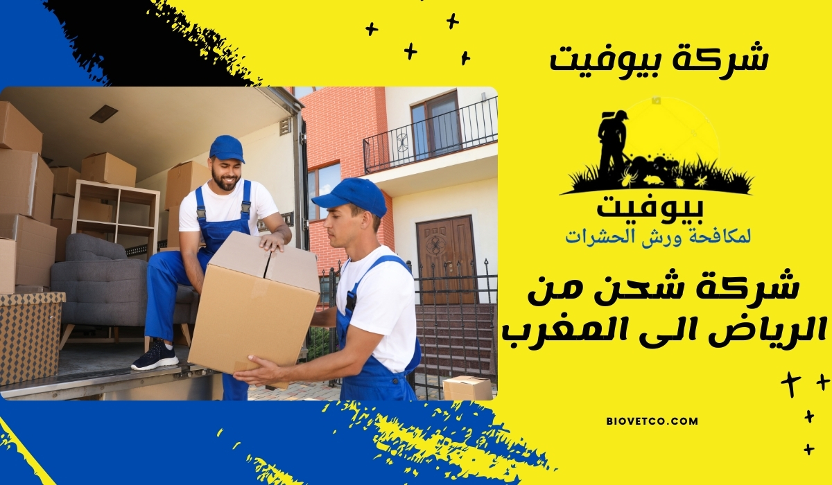 شركة شحن من الرياض الى المغرب