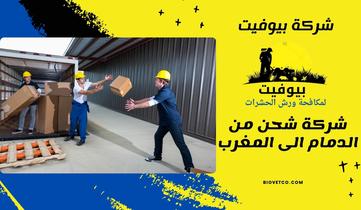 شركة شحن من الدمام الى المغرب