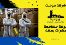 شركة مكافحة حشرات بمكة