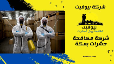 شركة مكافحة حشرات بمكة