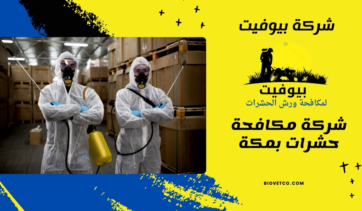 شركة مكافحة حشرات بمكة