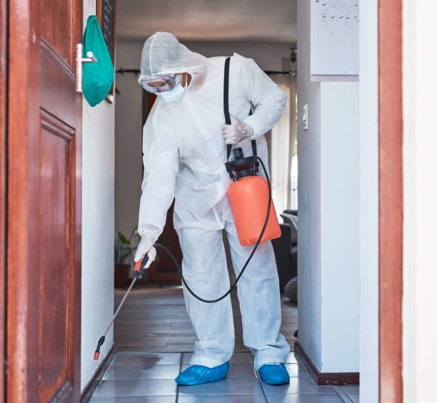 شركة مكافحة حشرات في اربد