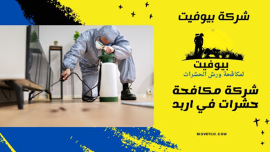 شركة مكافحة حشرات في اربد